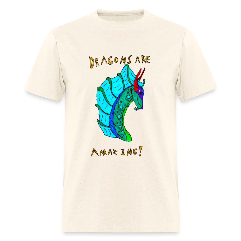 DC26 Reva's "Dragons Are Amazing" T-shirt - sweet cream heather