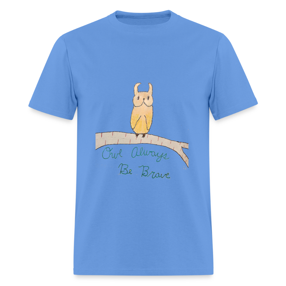 DC25 Bailee's "Owl Always Be Brave" T-shirt - carolina blue