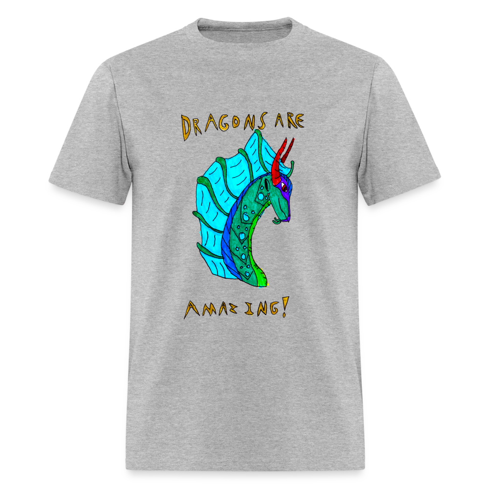 DC26 Reva's "Dragons Are Amazing" T-shirt - heather gray